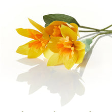 Load image into Gallery viewer, Corn Husk Daffodils
