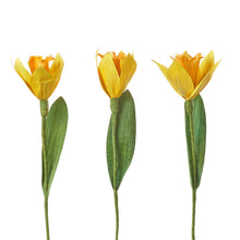 Load image into Gallery viewer, Corn Husk Daffodils
