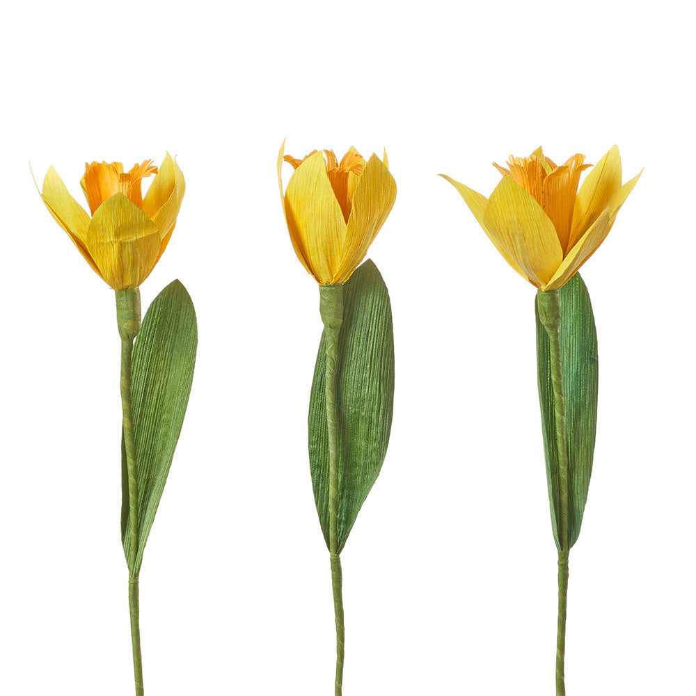 Corn Husk Daffodils