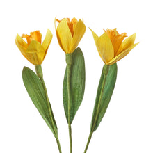 Load image into Gallery viewer, Corn Husk Daffodils
