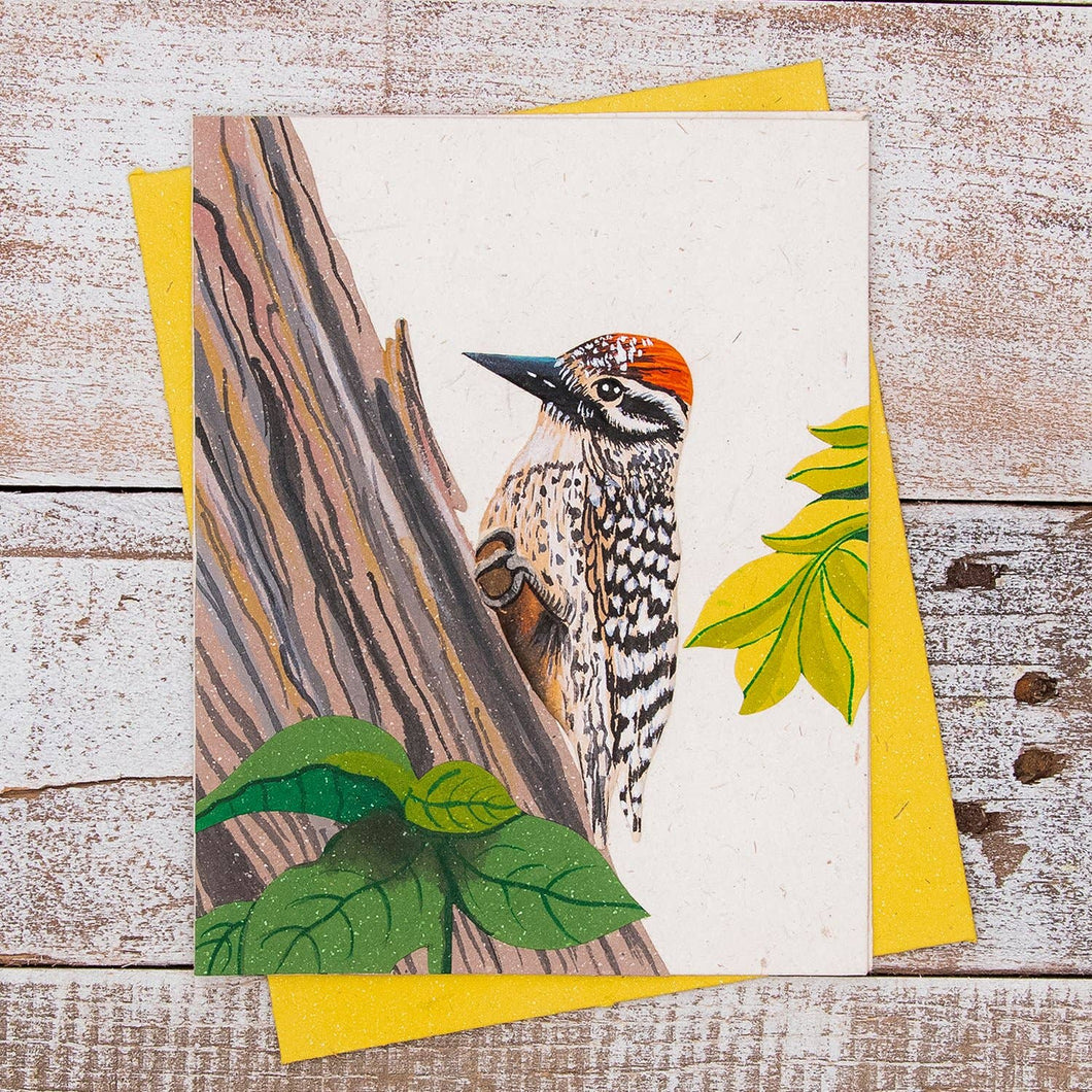 Blank Greeting Card - Woodpecker
