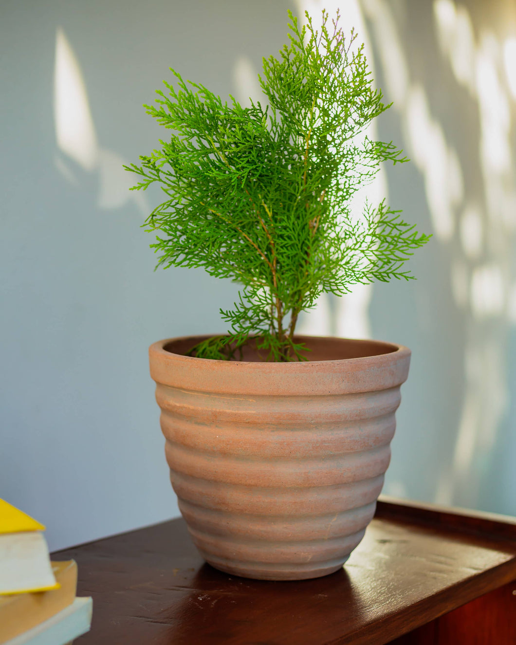 Concrete-washed Terracotta Ridged Planter