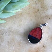 Load image into Gallery viewer, Claudina Agrias Butterfly Pendant
