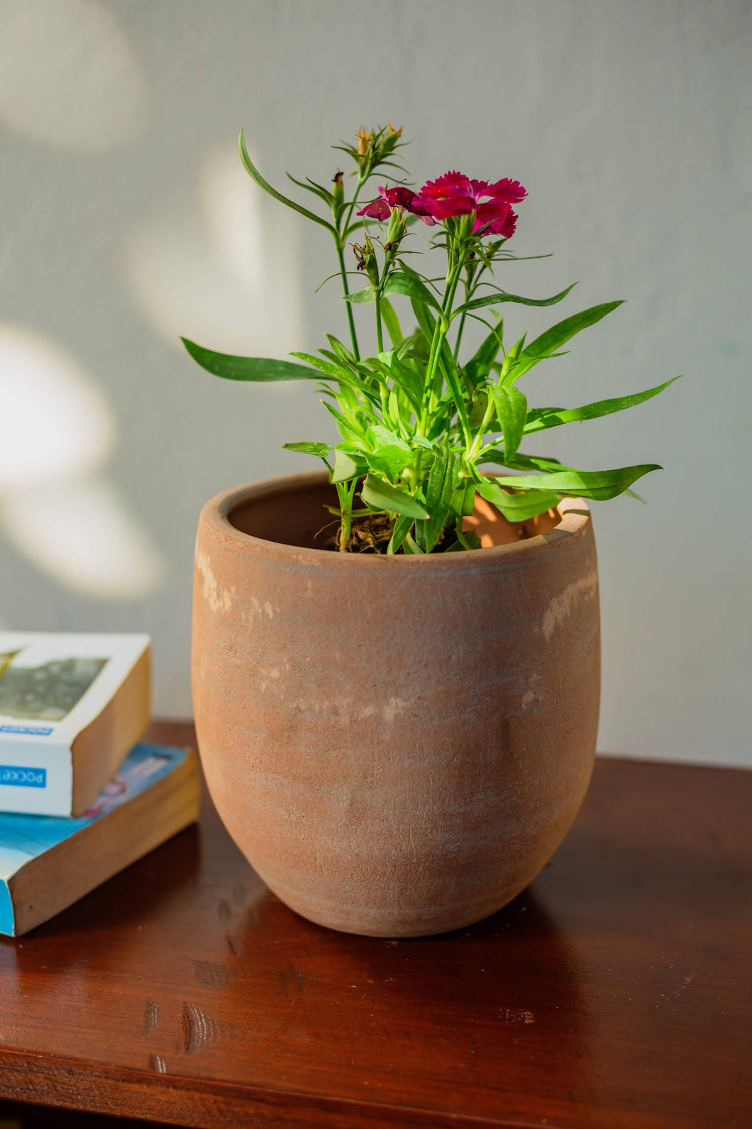 Concrete-washed Terracotta Round Planter