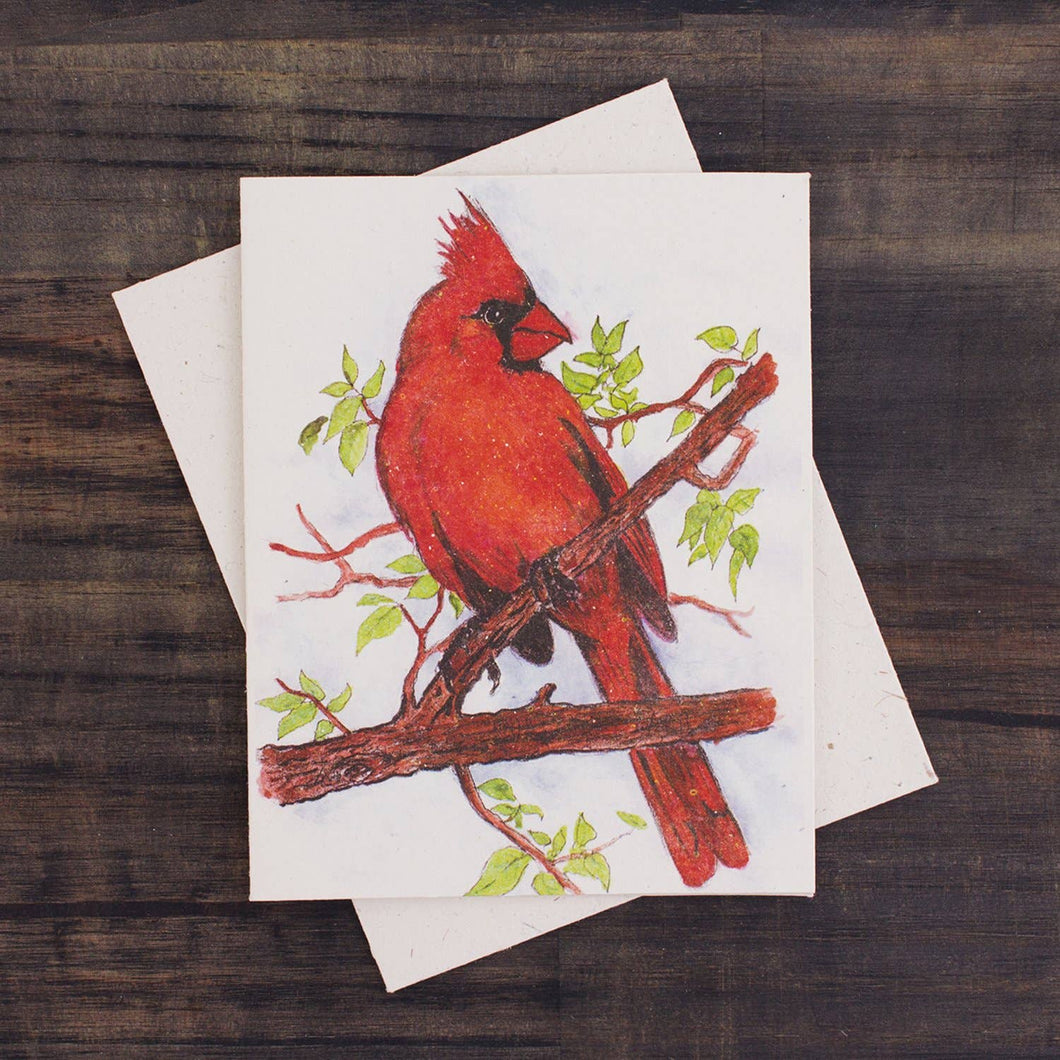 Single Greeting Card Cardinal Watercolor Sketch (w)