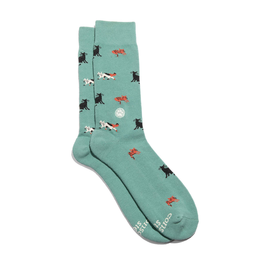 Socks that Save Cats (Teal Cats) - Medium