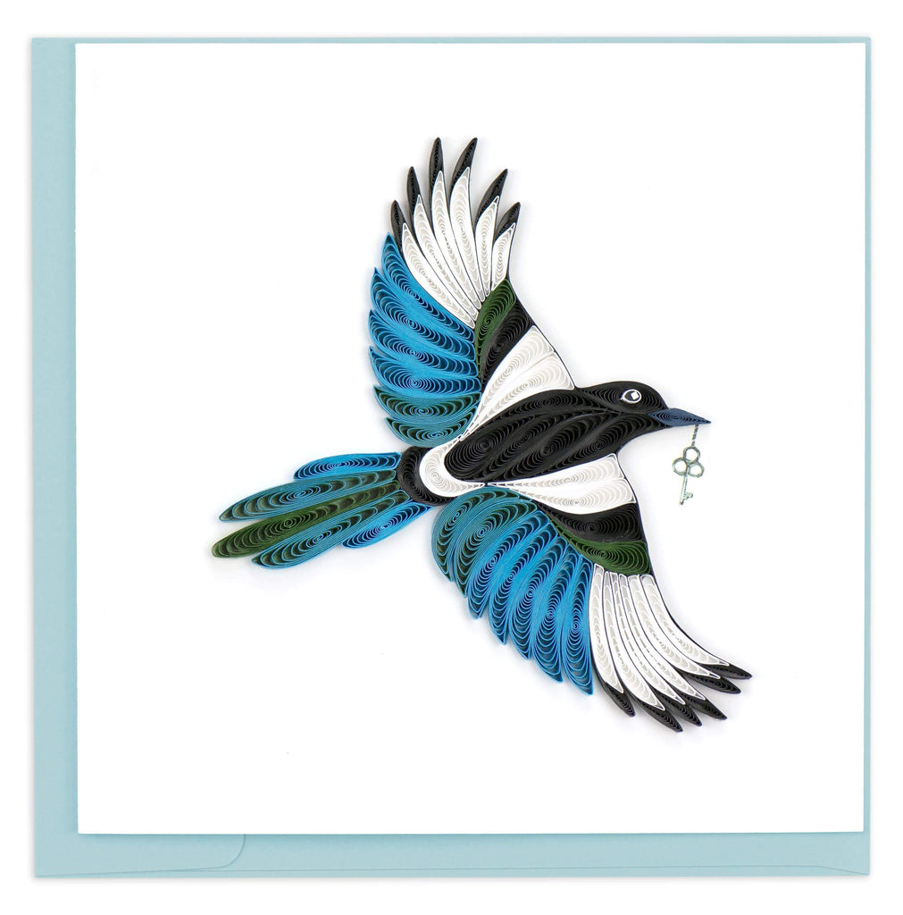 Black-Billed Magpie